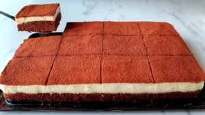Ev usulü tiramisu